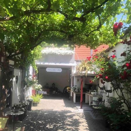 Ferienwohnung Im 'Schmoller - Hof' Neustadt an der Weinstraße المظهر الخارجي الصورة