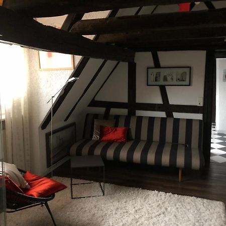 Ferienwohnung Im 'Schmoller - Hof' Neustadt an der Weinstraße المظهر الخارجي الصورة