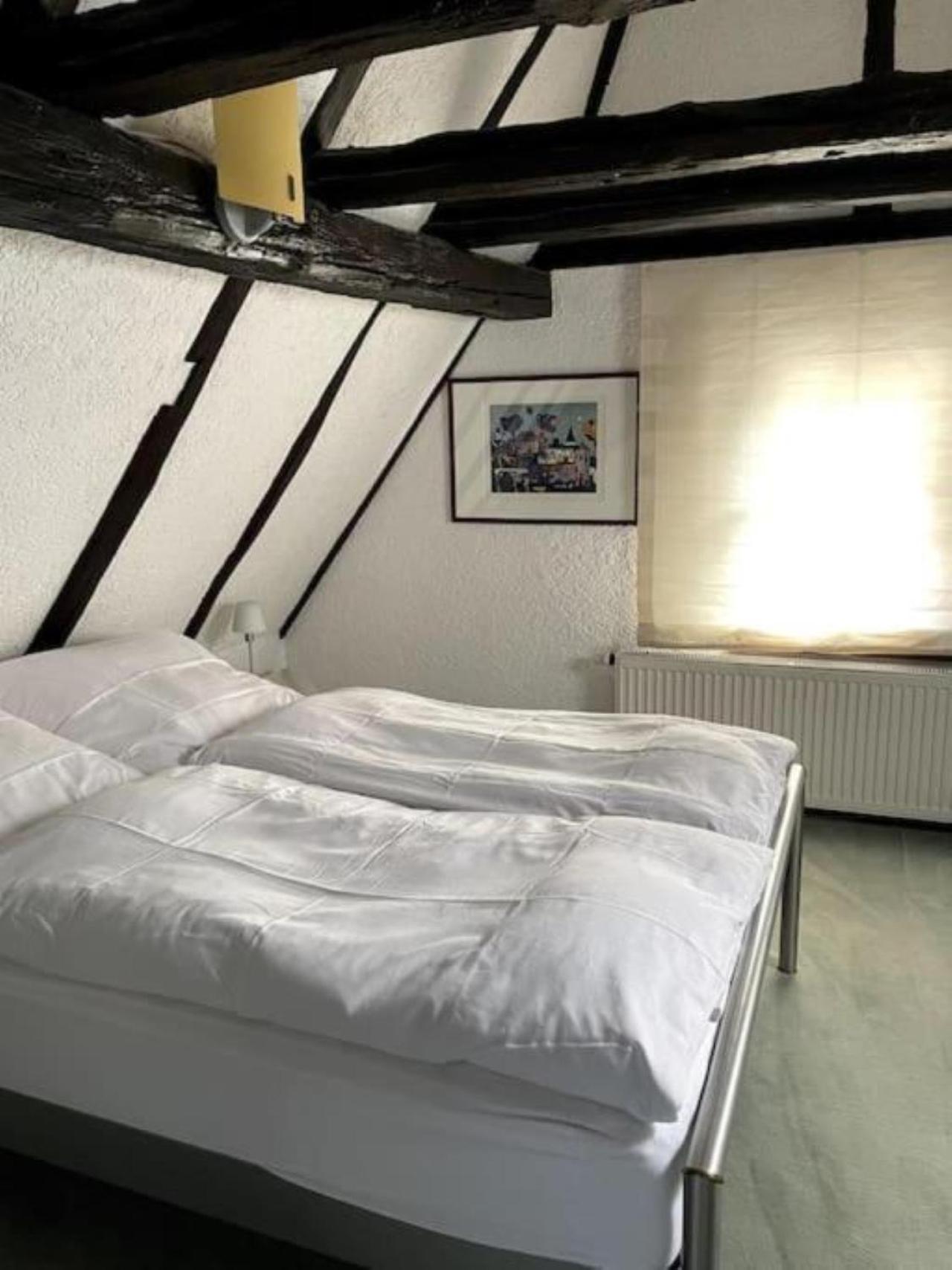 Ferienwohnung Im 'Schmoller - Hof' Neustadt an der Weinstraße المظهر الخارجي الصورة