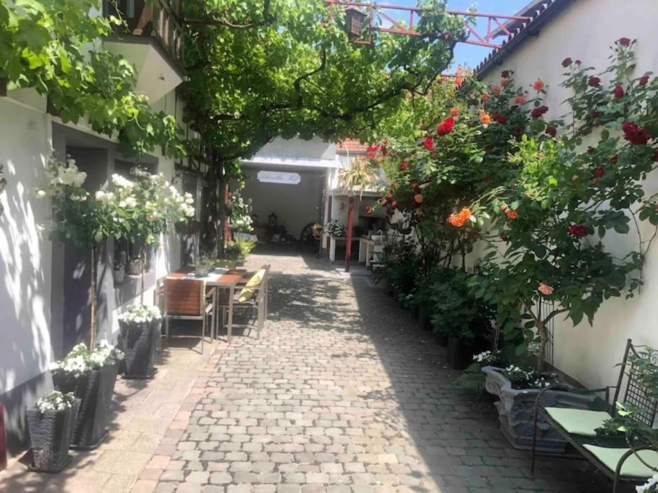 Ferienwohnung Im 'Schmoller - Hof' Neustadt an der Weinstraße المظهر الخارجي الصورة